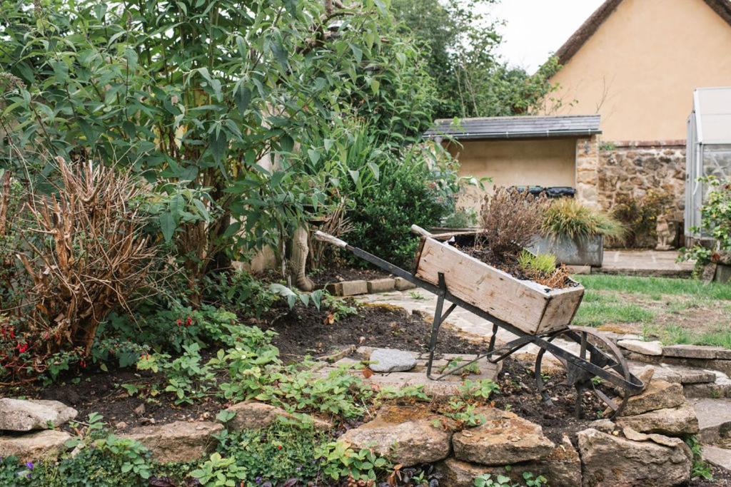 Laurel Cottage Melplash Netherbury Εξωτερικό φωτογραφία